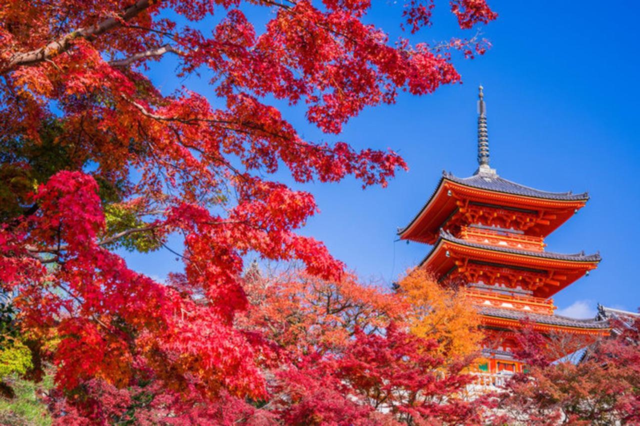 中川西 地下鉄今里駅一戸建 Samurai House Guest House Imazato 難波直通 最大7名 Ōsaka Eksteriør bilde