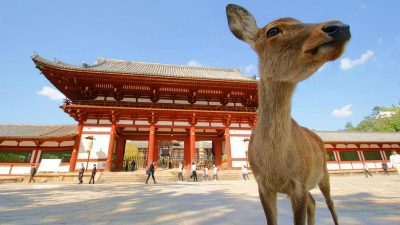 中川西 地下鉄今里駅一戸建 Samurai House Guest House Imazato 難波直通 最大7名 Ōsaka Eksteriør bilde